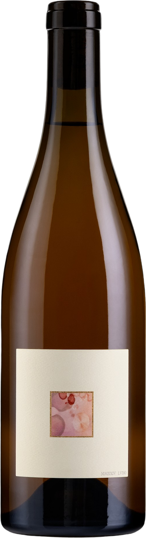 LVDO Dry Rosé Wine 2024 bottle - McLaren Vale